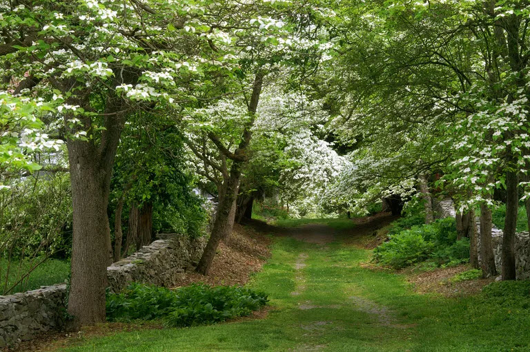 Tidewater Arboretum, United States